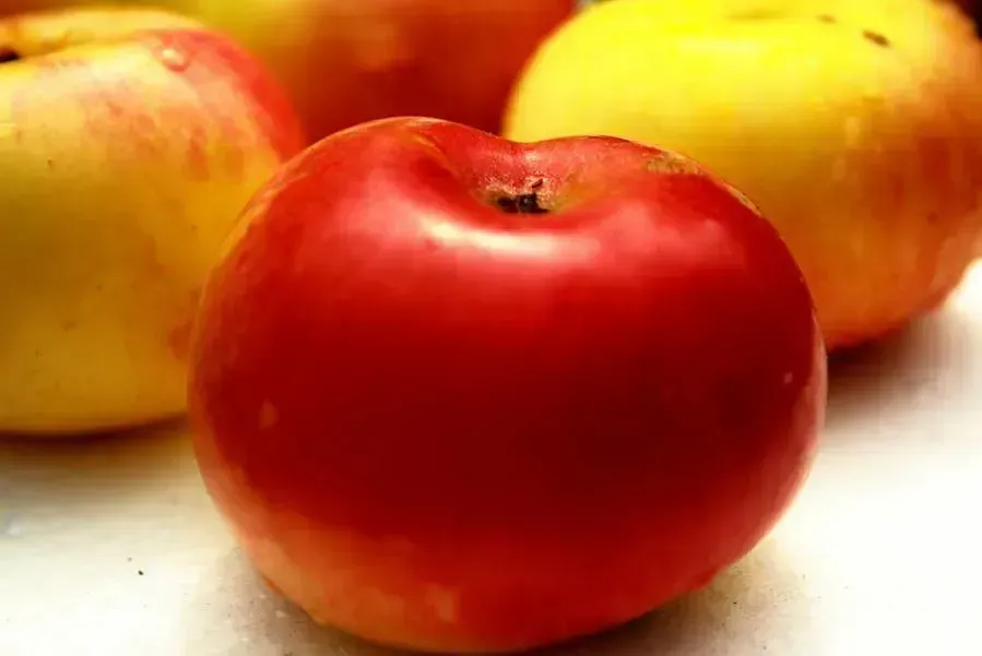 Gala Apples: Heart Health Support (Image Credits: Flickr)