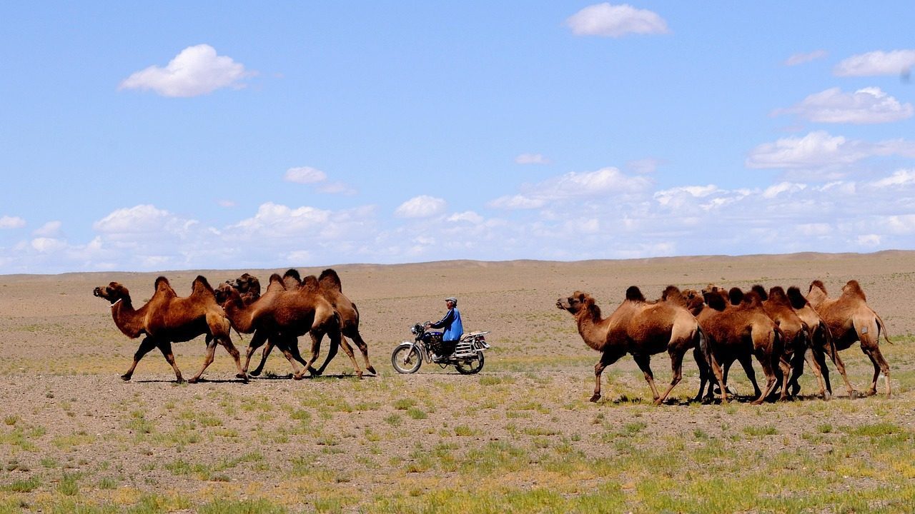 Mongolia: Where Nomadic Life Meets Modern Challenges (Image Credits: Pixabay)
