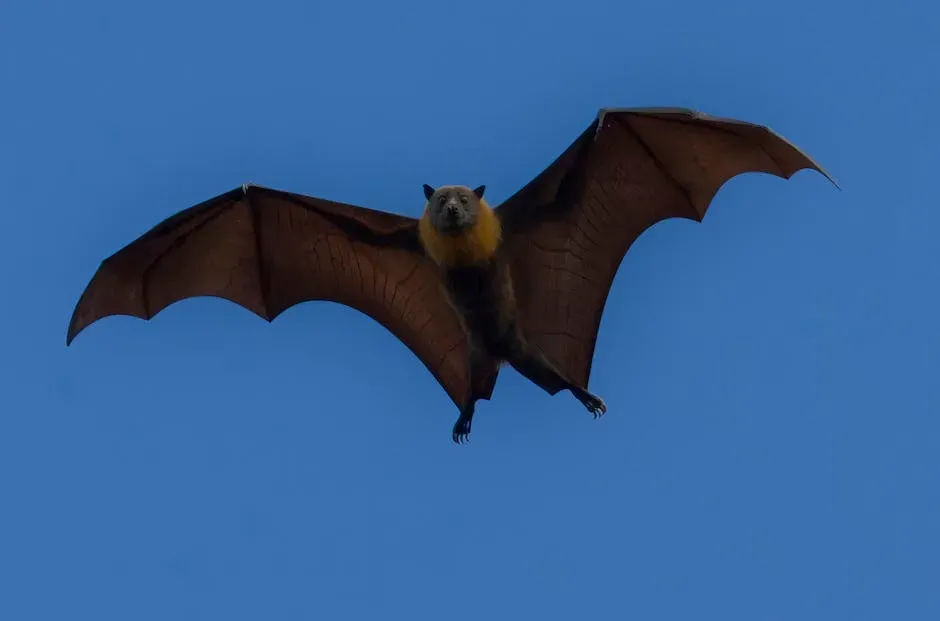 3. Bats - Creatures of the Night, But Not the Villains They Seem (Image Credits: Pexels)