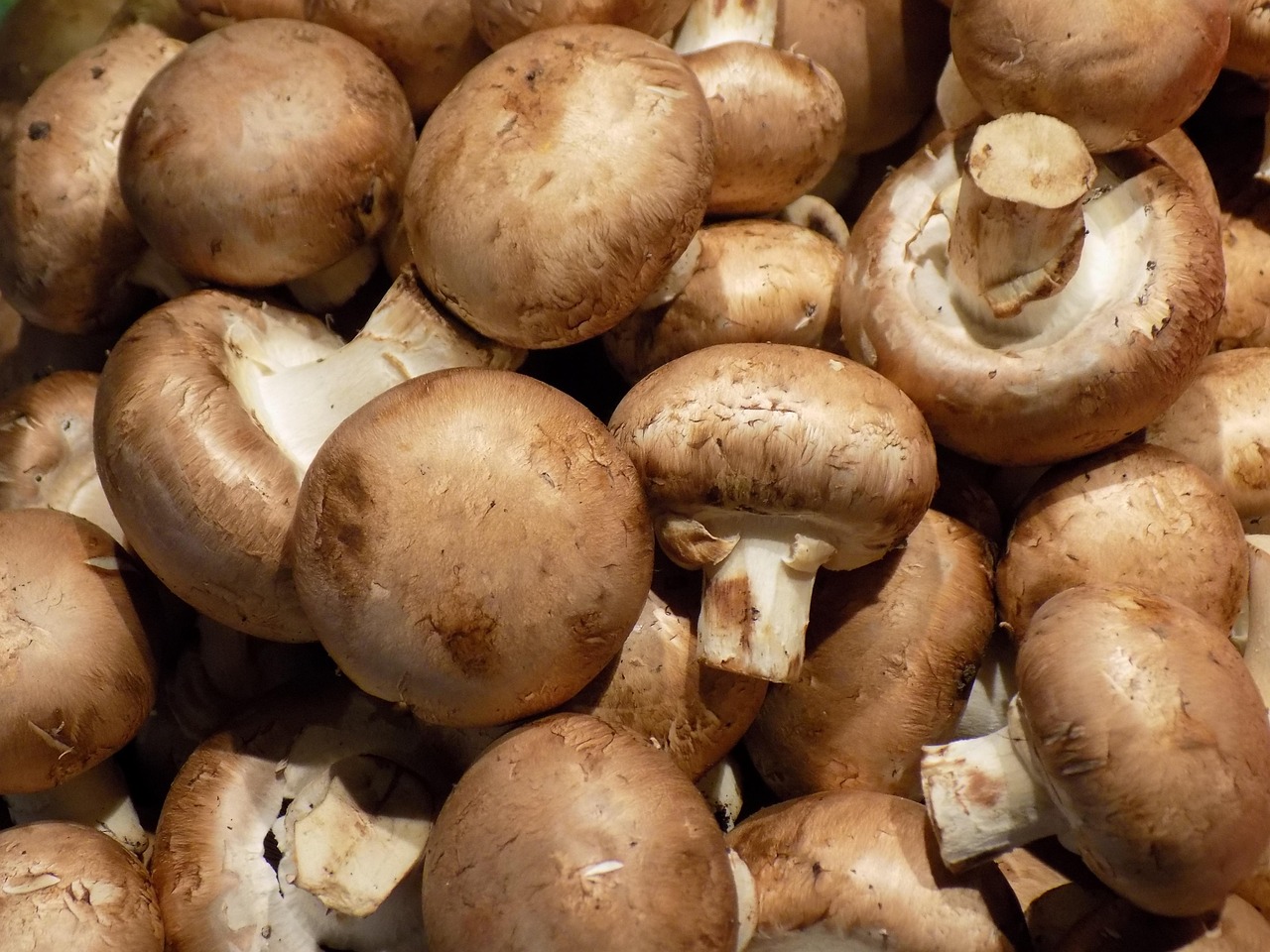 Mushrooms - The Fungi That Pack a Nutritional Punch (image credits: pixabay)