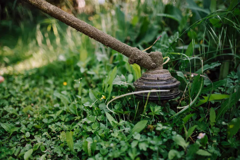 String Trimmers and Hedge Trimmers (Image Credits: Flickr)