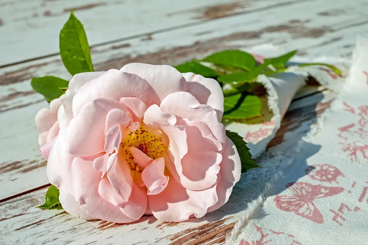 The Smell Hits Before Anything Else (Image Credits: Pixabay)
