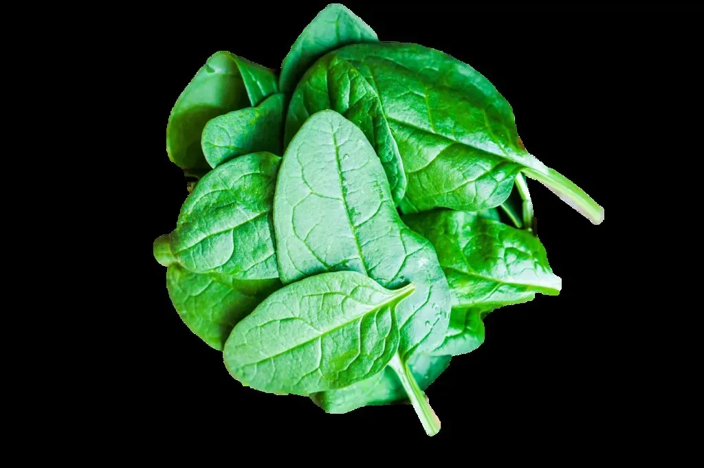 Dark Leafy Greens Loaded with Vitamin K (Image Credits: Flickr)