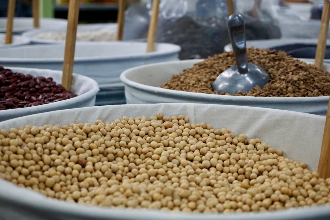 Argentina Specializes in Soybean Processing Products (Image Credits: Unsplash)
