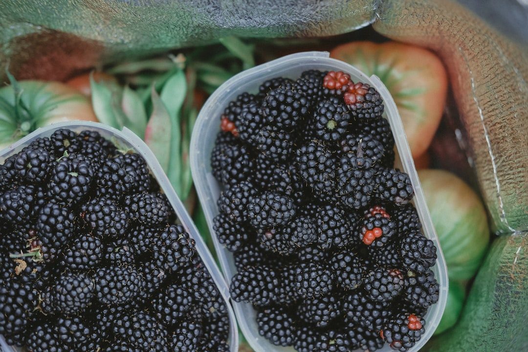 Blackberries: The Antioxidant Powerhouses (Image Credits: Unsplash)