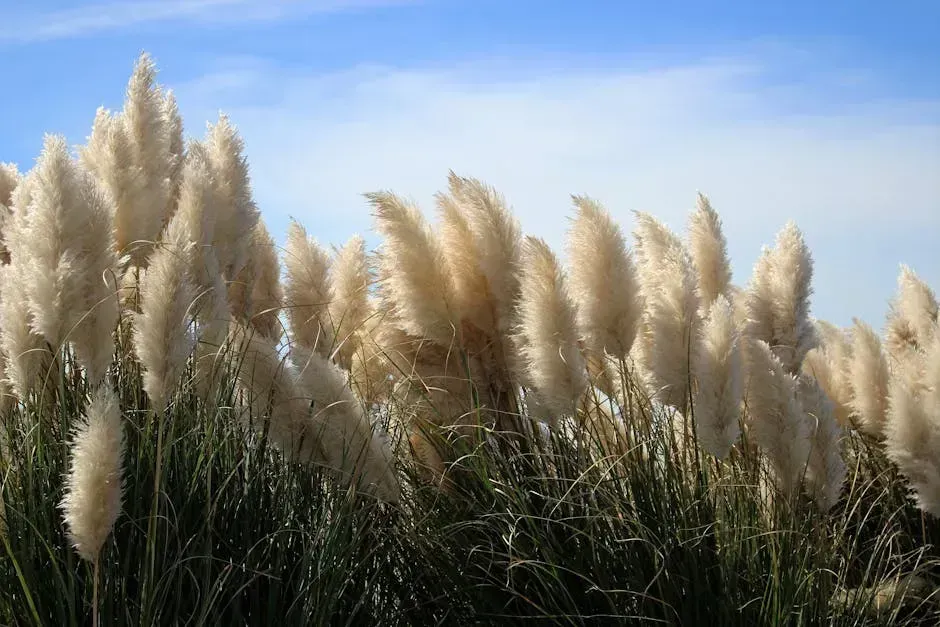 5. Ornamental Grasses: Don't Touch Them in Summer (Image Credits: Pexels)