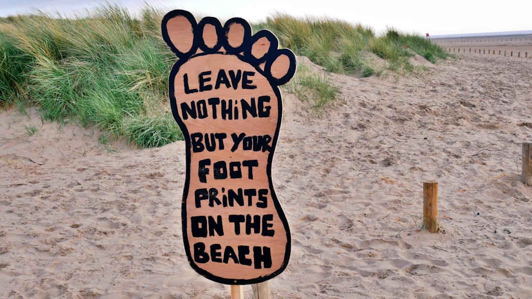 Understanding the Real Economics of Local Impact (image credits: unsplash)