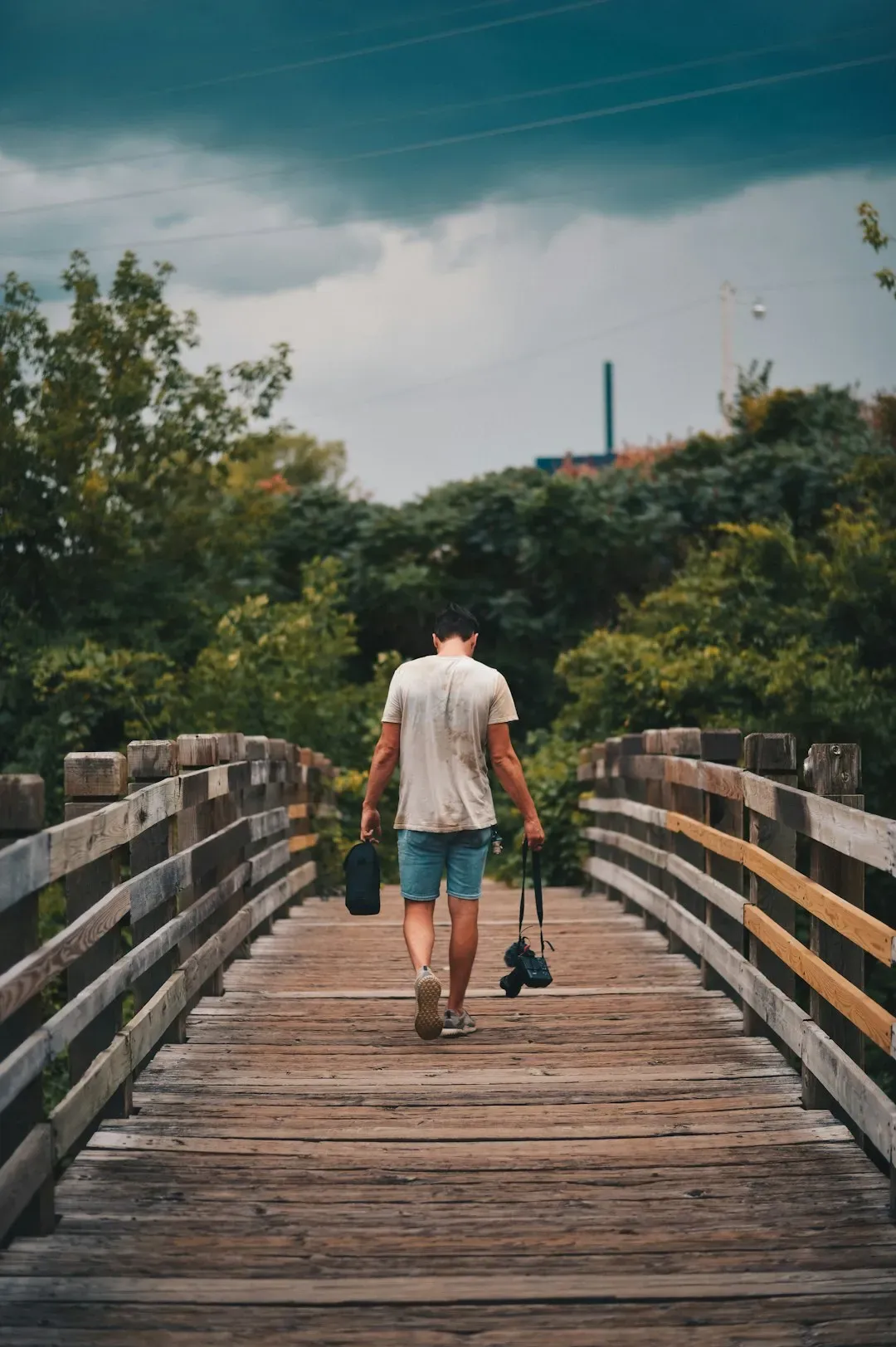 They Walk, Especially When They're Stuck (Image Credits: Unsplash)