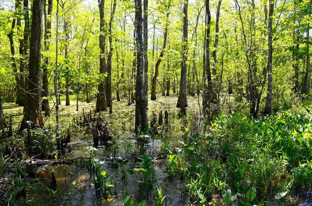 2. Louisiana - Lockport and Its Bayou Waterways (Woody H1, Flickr, CC BY 2.0)