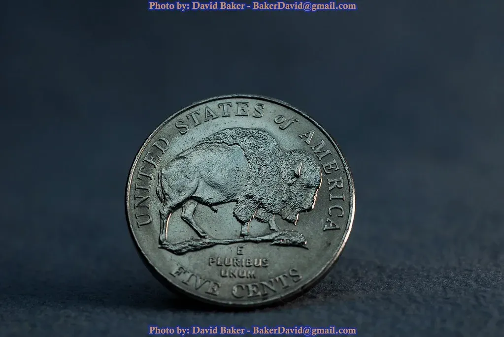 The Infamous 1937-D Three-Legged Buffalo (Image Credits: Flickr)