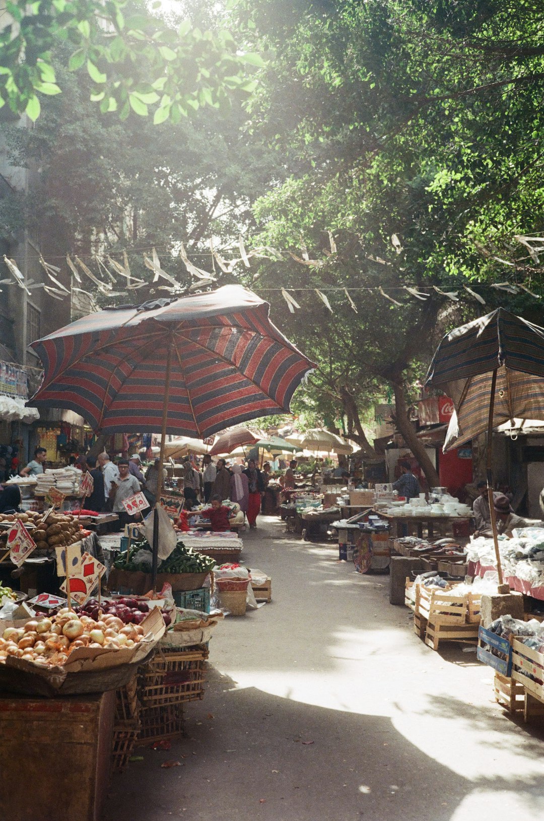 Egypt - Nile Valley Bargains That Stretch Every Dollar (Image Credits: Unsplash)