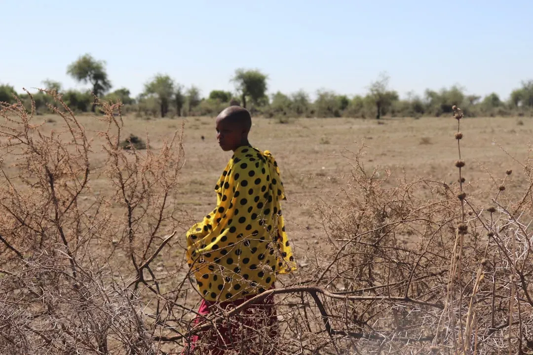 Sub-Saharan Africa: A Convergence of Water Scarcity and Food Collapse (Image Credits: Unsplash)