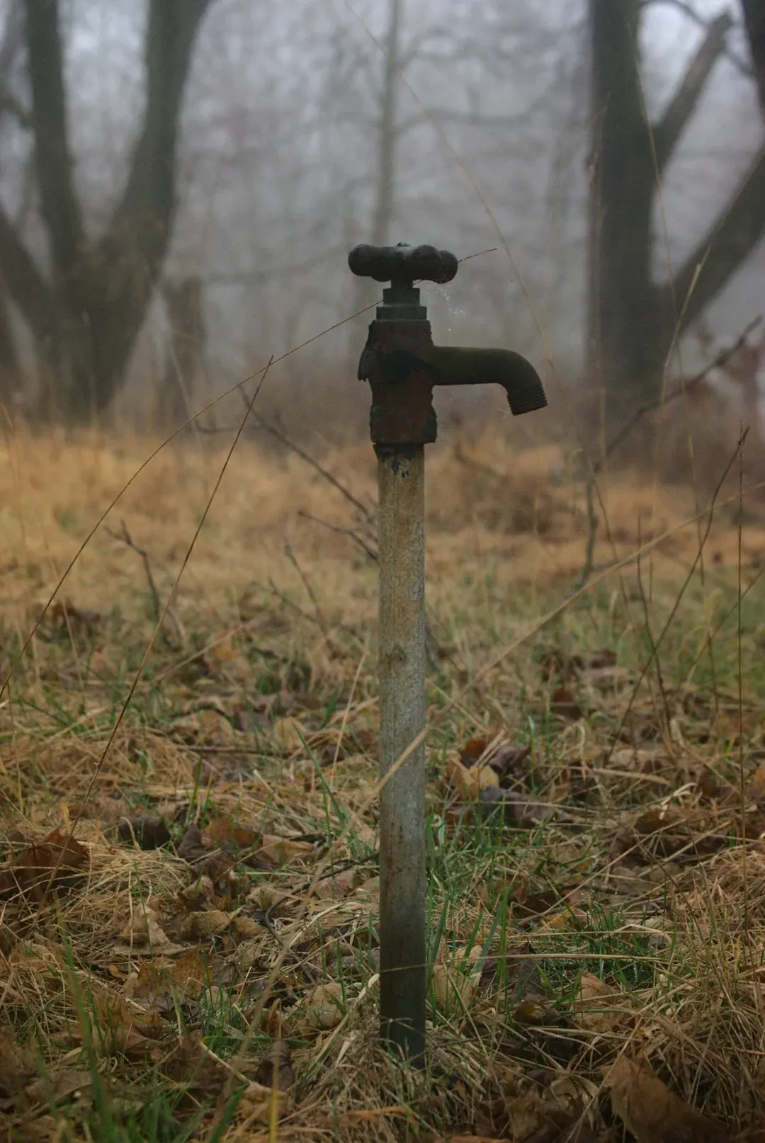 5. Europe's Hidden Aquifer Network: The Crisis Beneath the Prosperity (Image Credits: Unsplash)