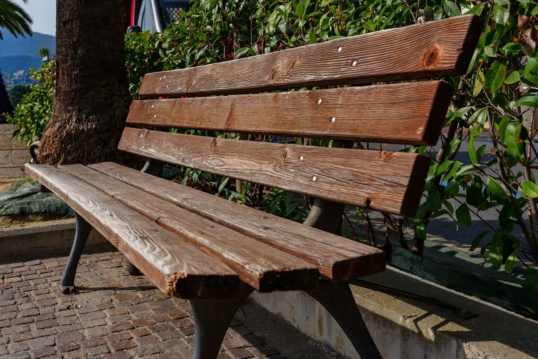 Public Seating and the Simple Power of Rest (Image Credits: Unsplash)