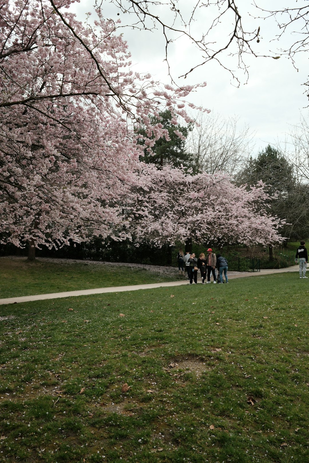 Spring Break Destinations Face Heightened Security Measures (image credits: unsplash)