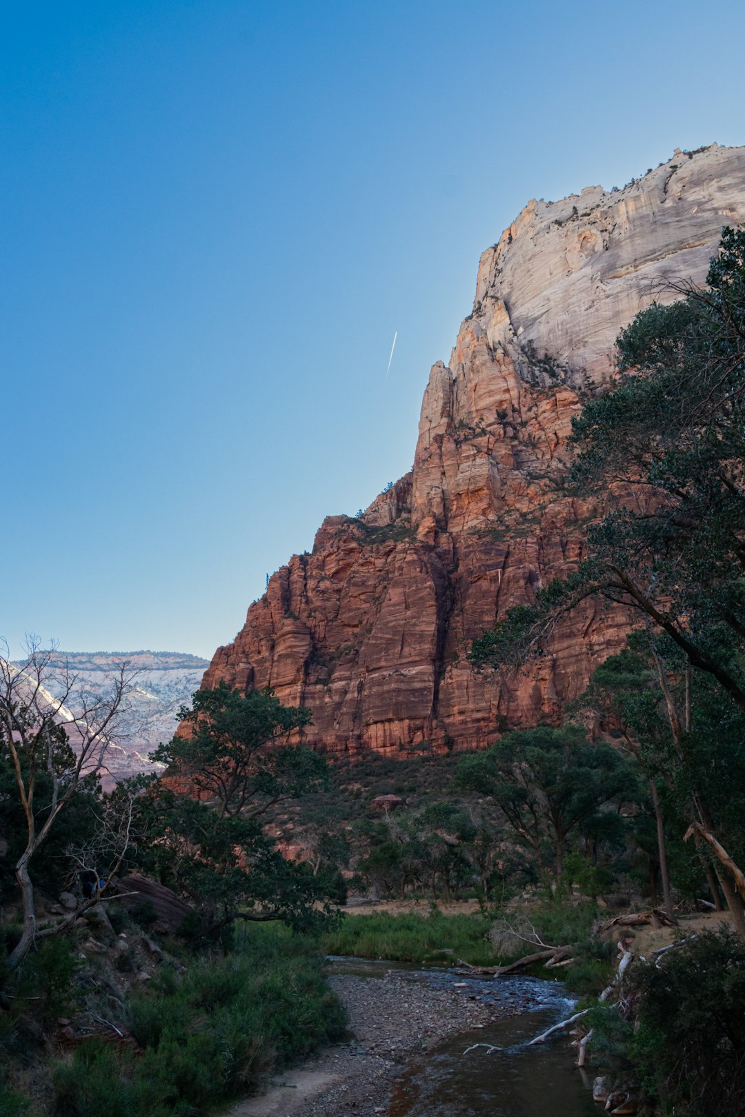 Zion National Park, United States (Image Credits: Unsplash)