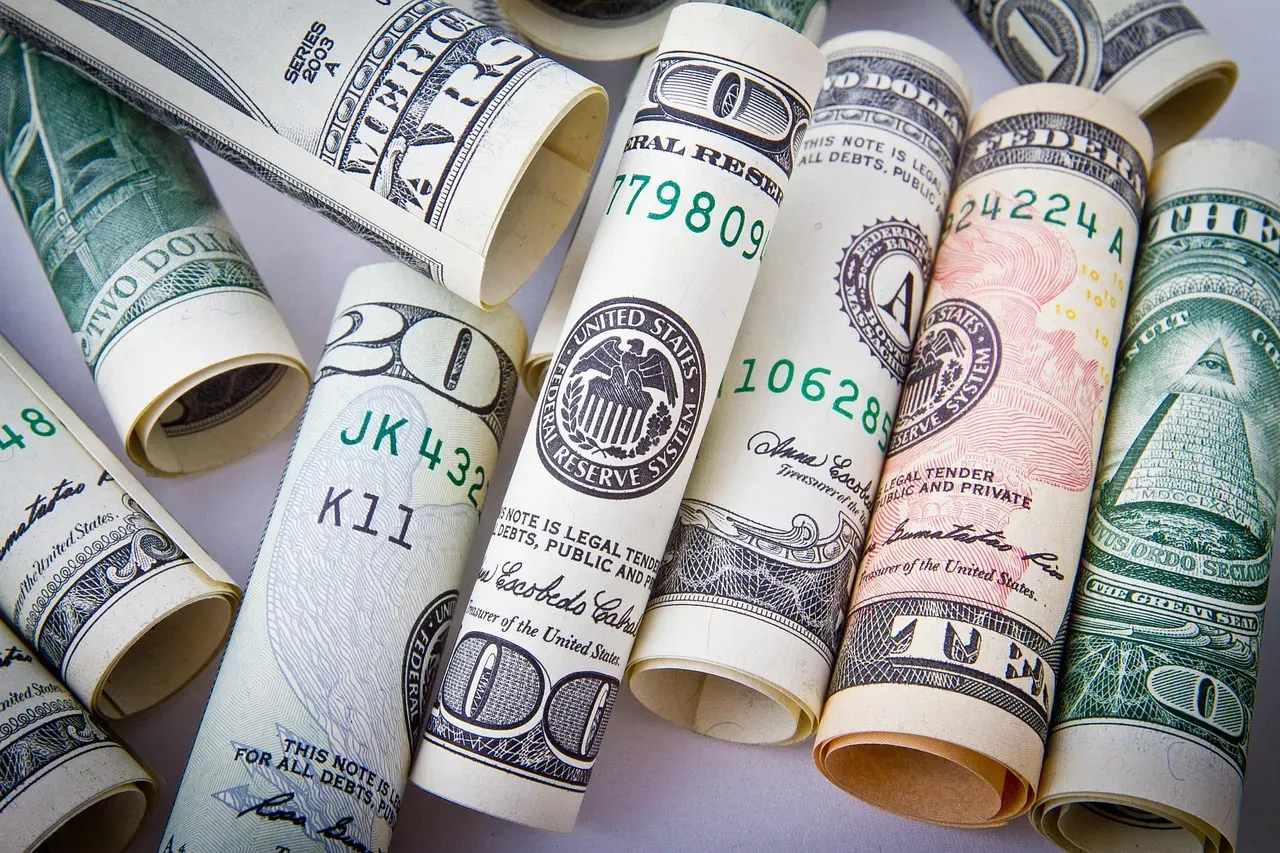 What Happens When Banks Face Liquidity Stress (Image Credits: Pixabay)