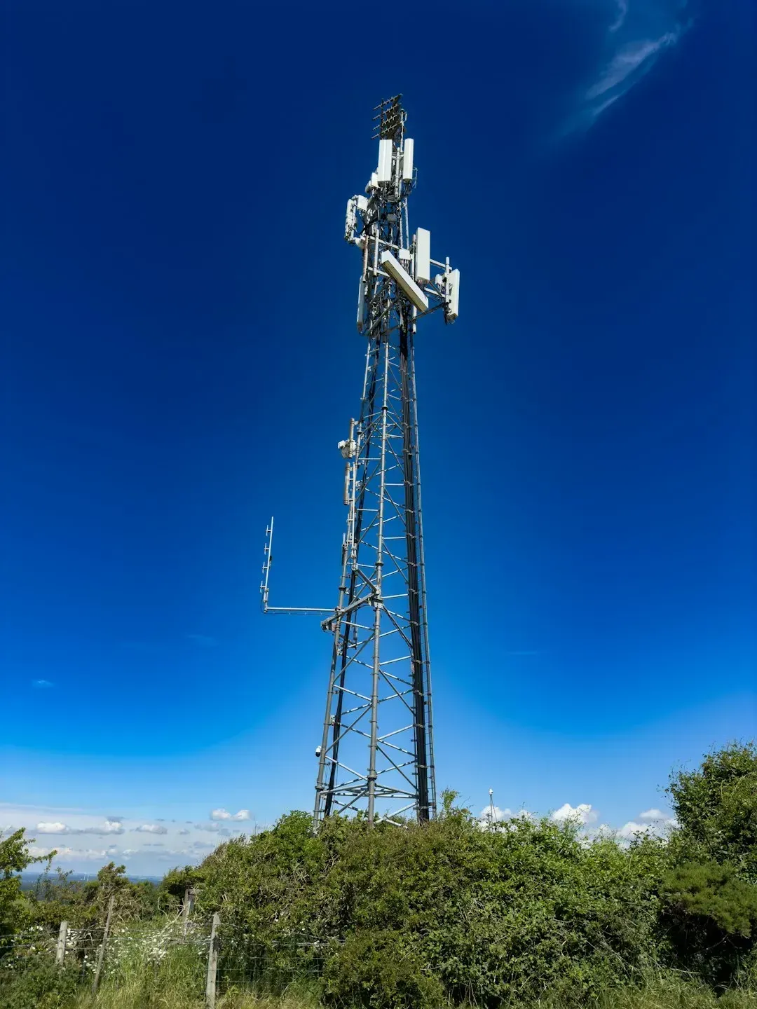 Proximity to Cell Towers and Power Lines (Image Credits: Unsplash)