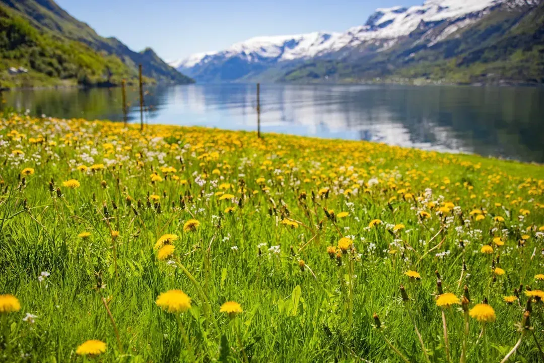4. Norway (Image Credits: Unsplash)