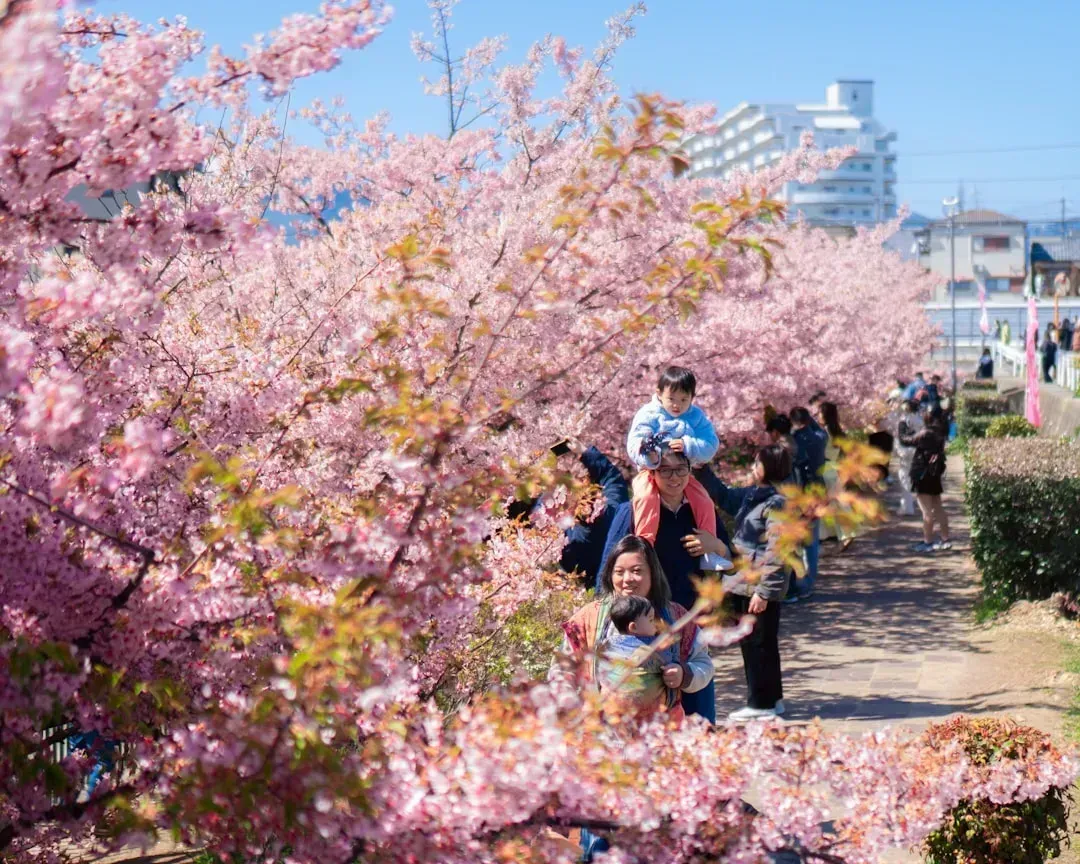 Time It Right: Shoulder Seasons Are Your Secret Weapon (Image Credits: Unsplash)