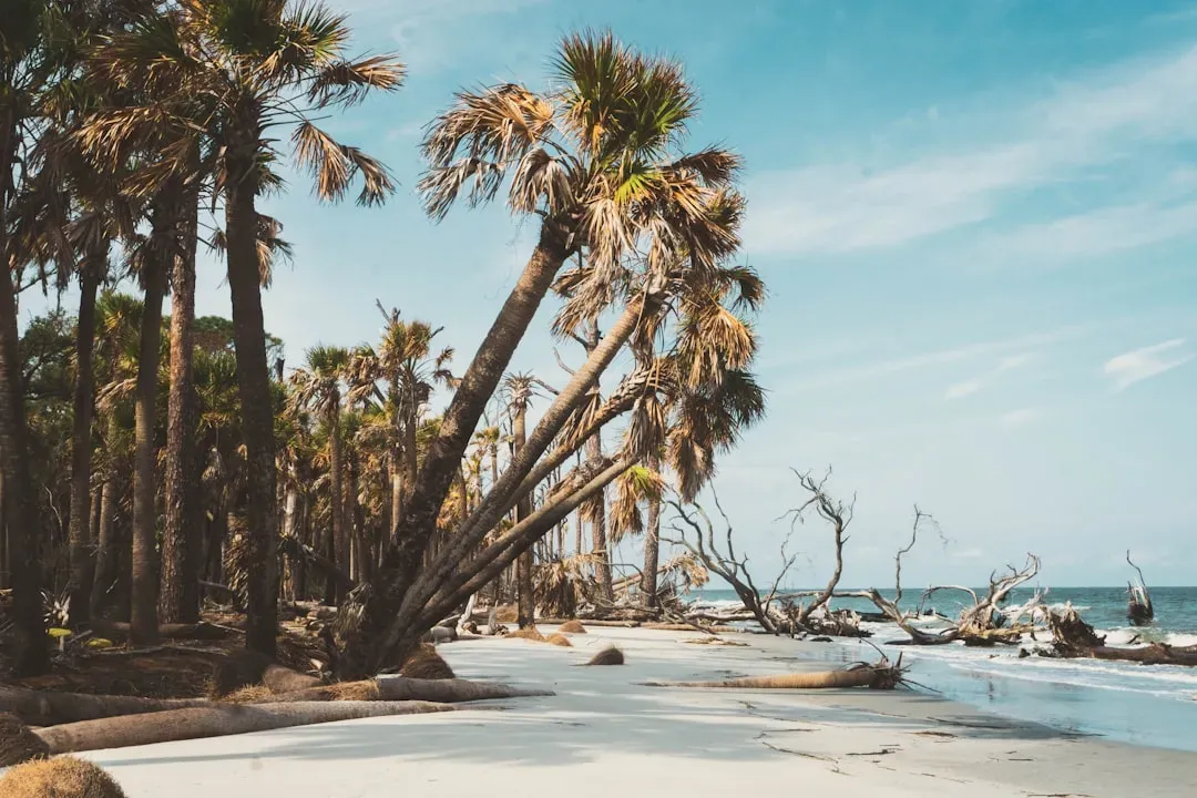 4. South Carolina: Warm Beaches Without the Florida Price Tag (Image Credits: Unsplash)