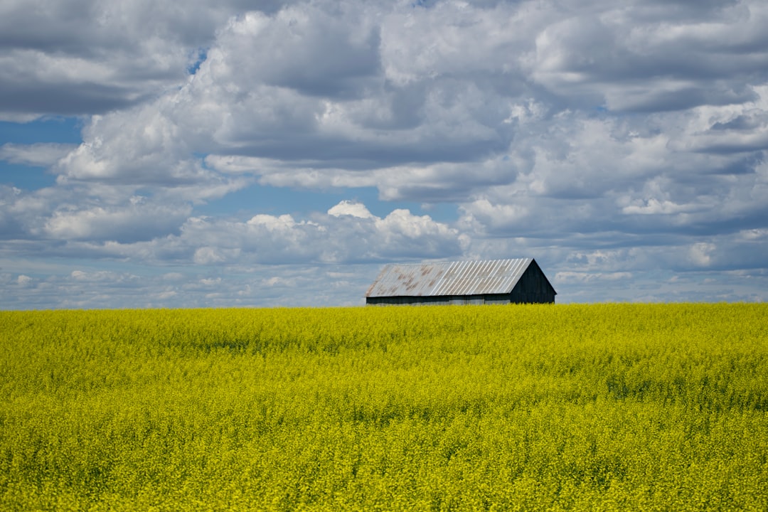 Canada Masters Large-Scale Sustainable Agriculture (Image Credits: Unsplash)