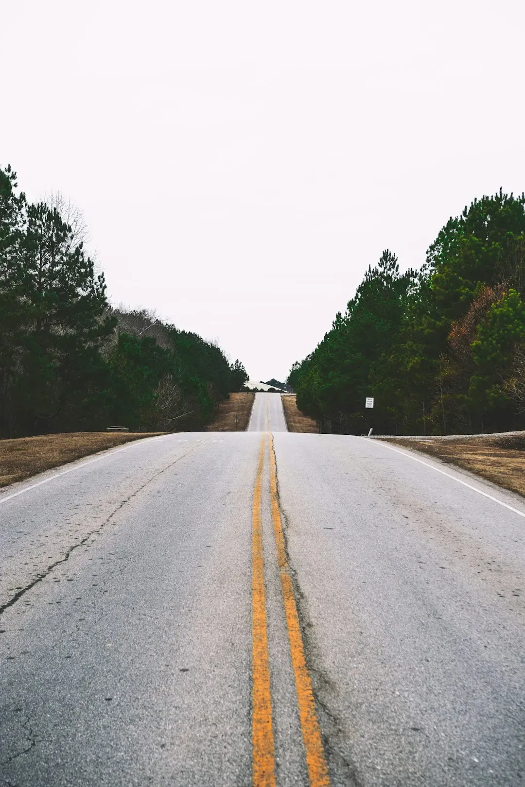 They Prioritize Experiences Over Things (Image Credits: Unsplash)