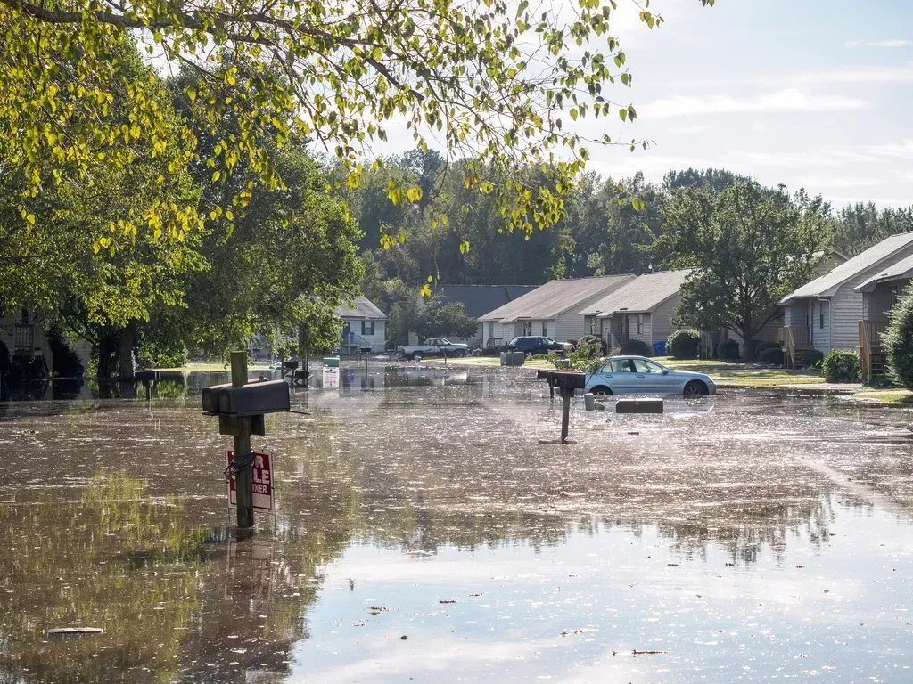 5. North Carolina - Hurricane Helene Changed Everything (Image Credits: Rawpixel)