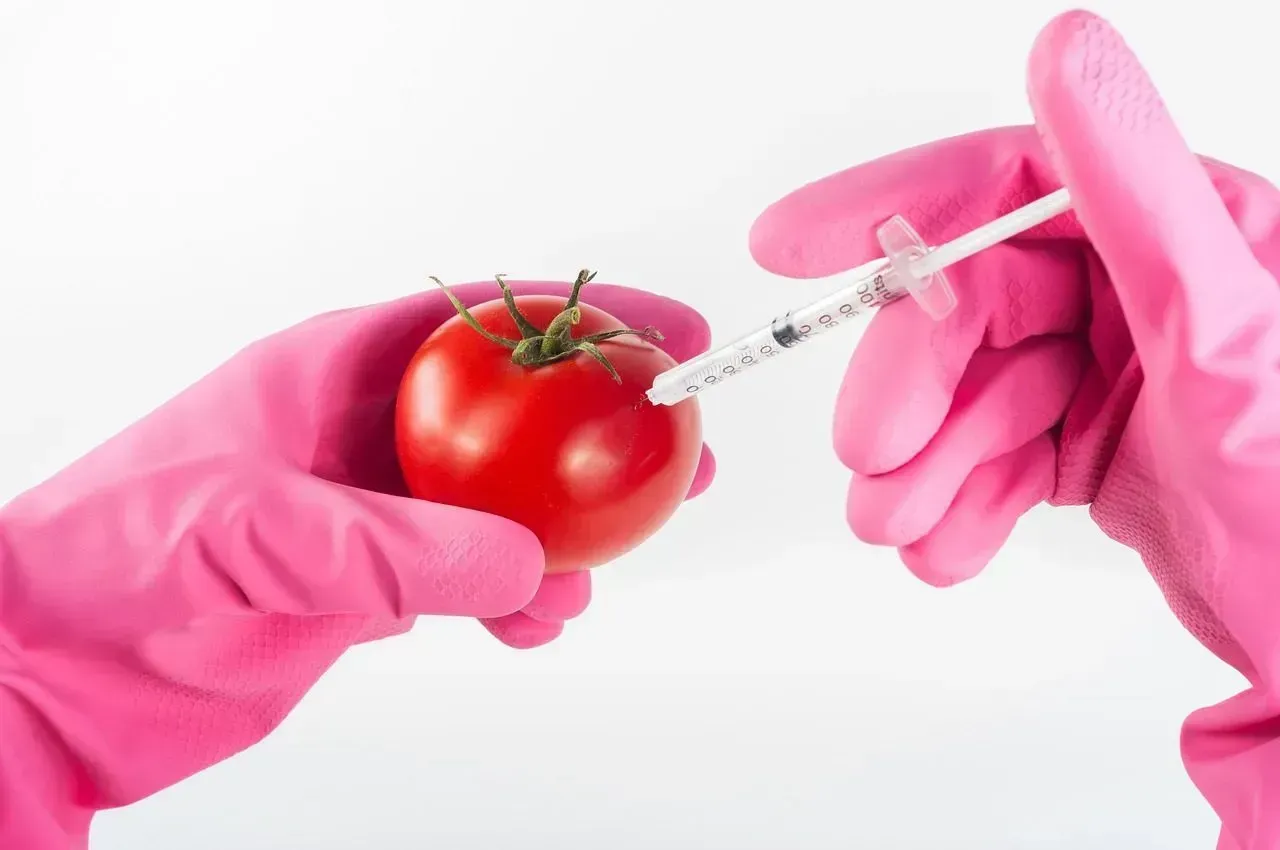 Genetically Modified Foods Without Labeling Requirements (Image Credits: Pixabay)