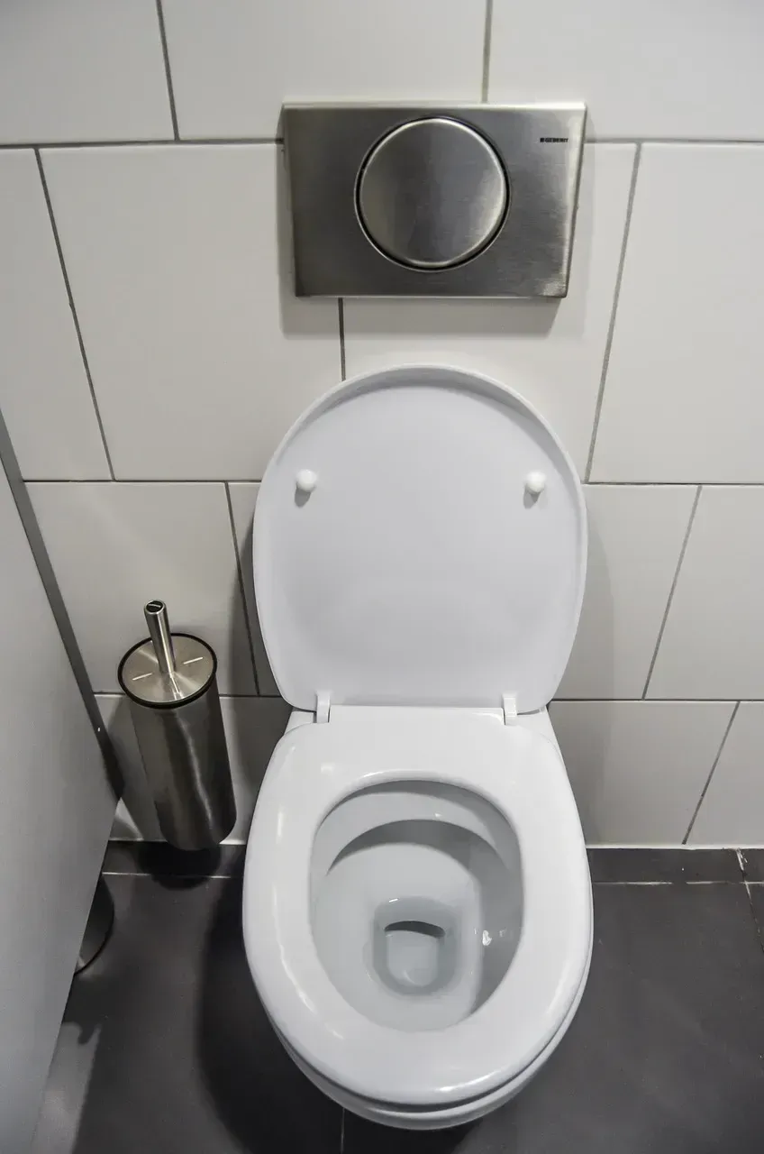 6. Behind the Toilet: The Spot Guests Definitely Check (Image Credits: Pixabay)