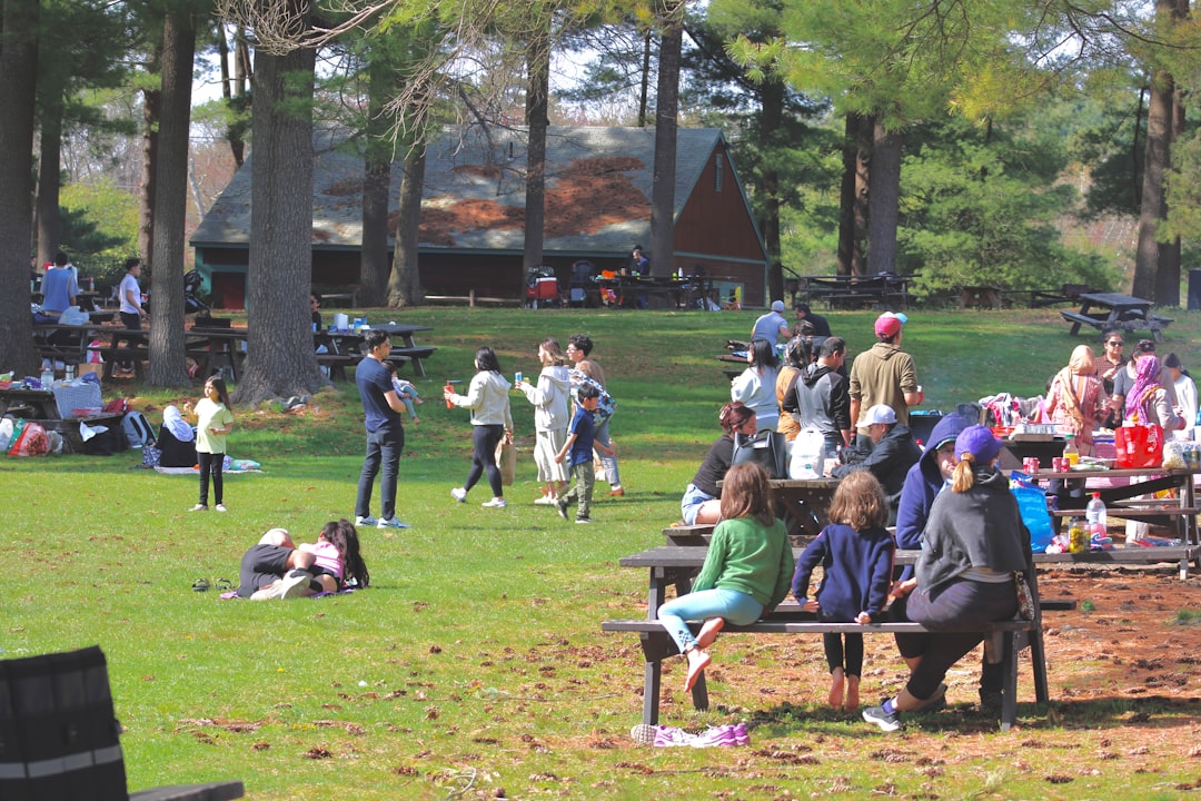 Community Spaces That Heal (image credits: unsplash)