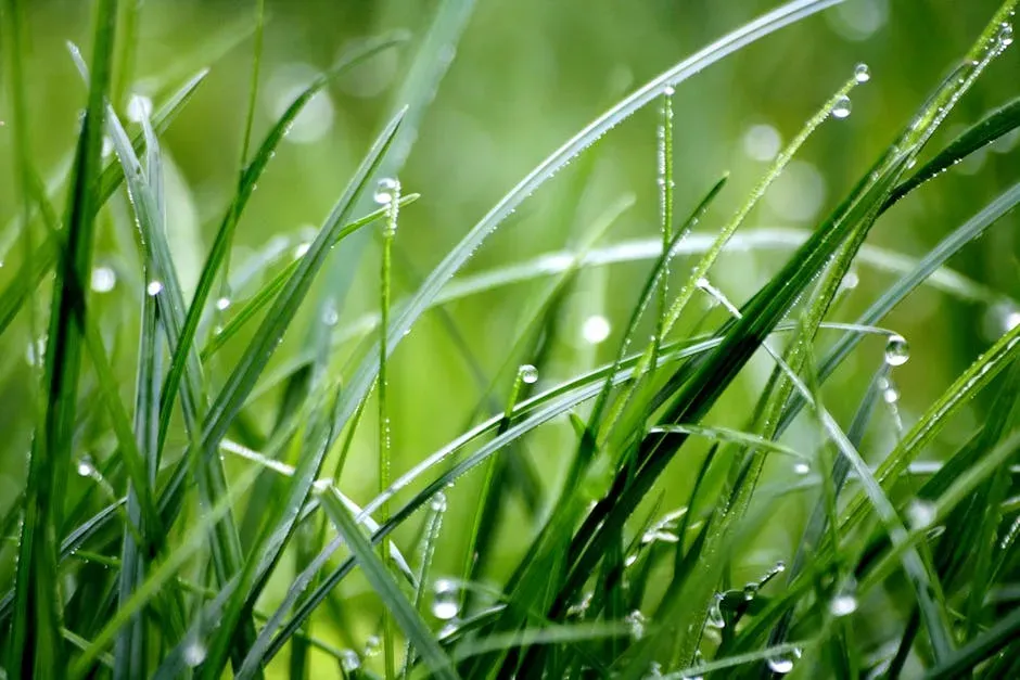 3. Letting Clumps of Wet Clippings Sit on the Grass (Image Credits: Pexels)