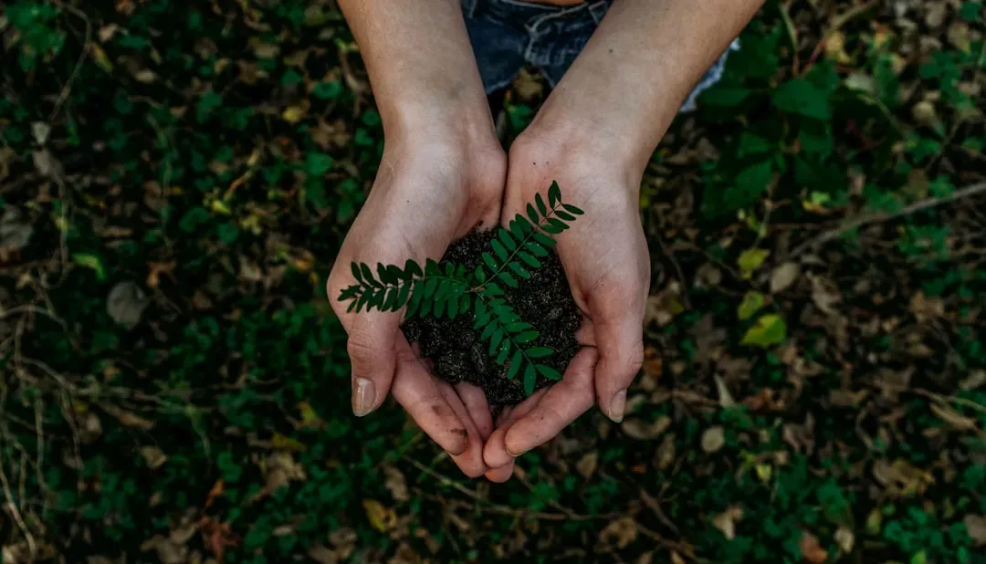 Sustainability Is Part of the Equation (Image Credits: Unsplash)