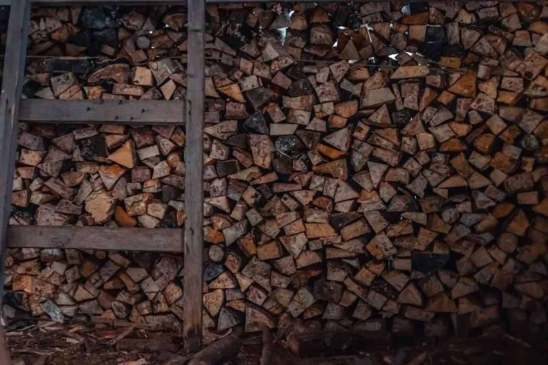 Firewood (Image Credits: Unsplash)