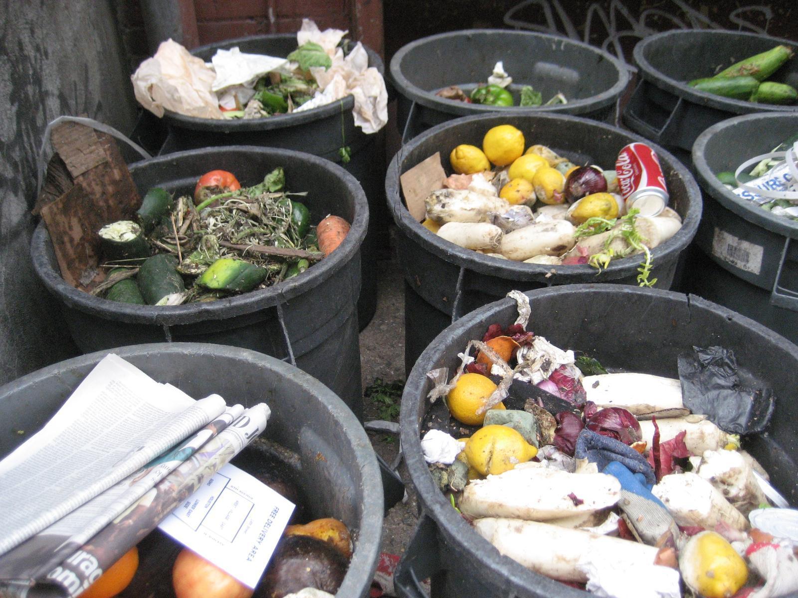 When Buying Ingredients Actually Becomes a Waste (Image Credits: By petrr, CC BY 2.0, https://commons.wikimedia.org/w/index.php?curid=26750389)