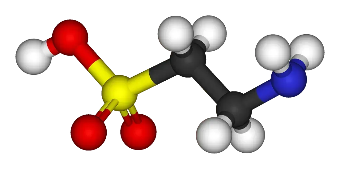 Taurine Research Reveals Conflicting Evidence (Image Credits: Public domain, https://commons.wikimedia.org/w/index.php?curid=1179395)