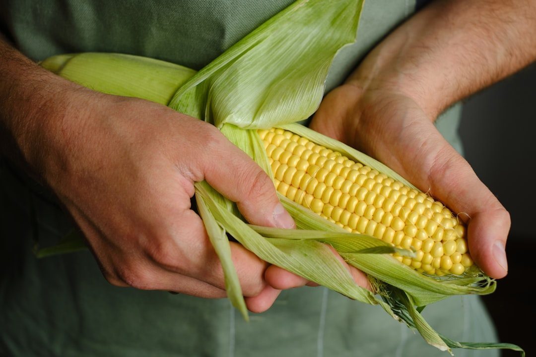 United States Maintains Its Agricultural Export Dominance (Image Credits: Unsplash)