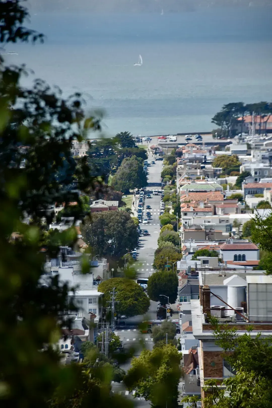 2. Pacific Heights, San Francisco - Even the Prestige Zip Codes Aren't Safe (Image Credits: Unsplash)
