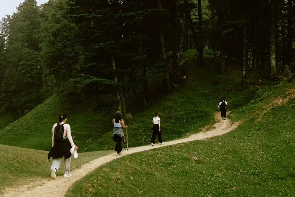 Nature Walks as a Clinical-Grade Tool (Image Credits: Pexels)