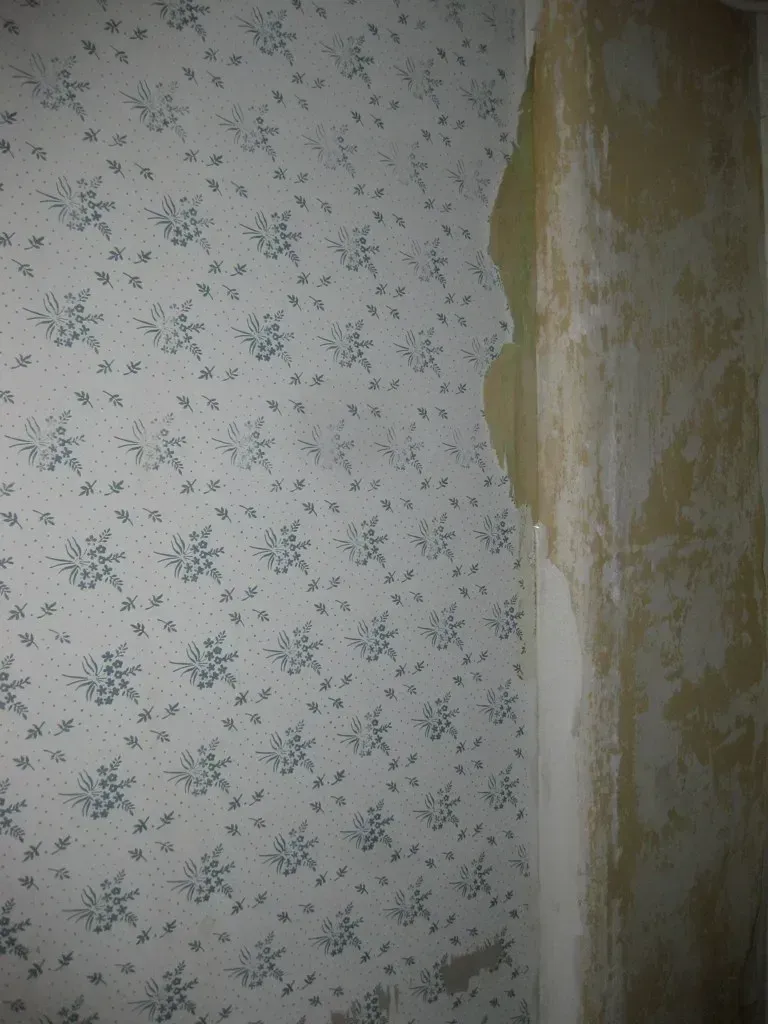 Outdated Wallpaper Sticks Around Too Long (Image Credits: Wikimedia)
