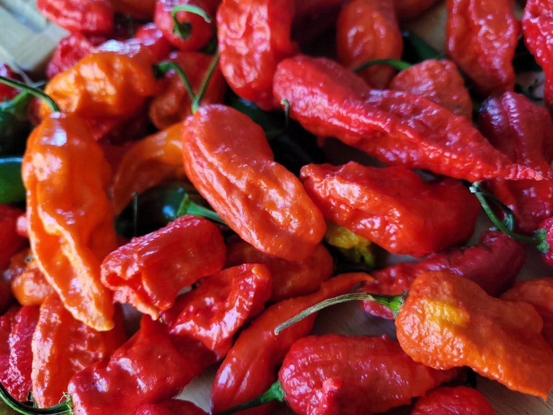 Mexico: Heat Born From Seven Thousand Years of Tradition (Image Credits: Unsplash)