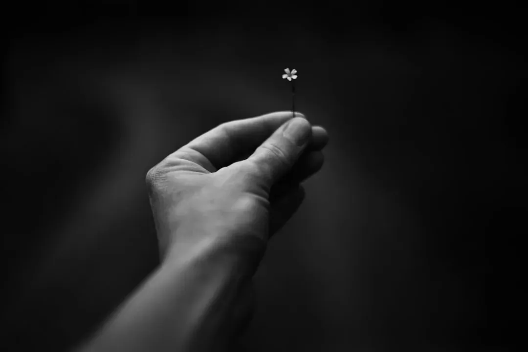 Notice the small, unphotographed details (Image Credits: Unsplash)