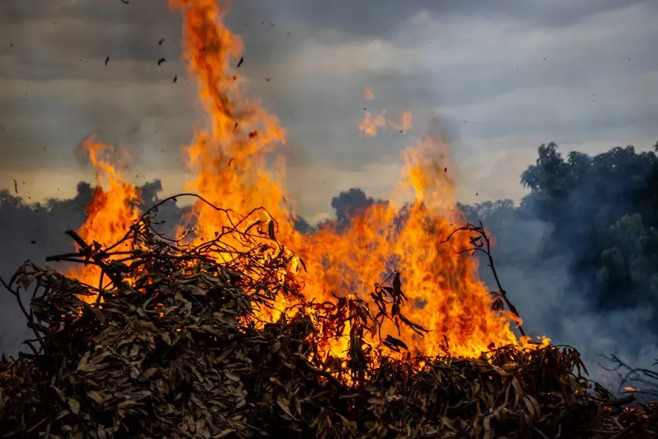 1. Burning Prohibited Materials Like Trash, Plastic, and Treated Wood (Image Credits: Pexels)