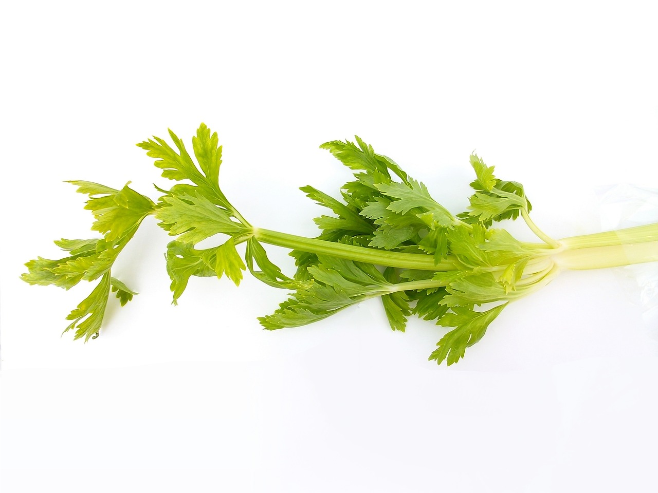 Celery and High-Nitrate Vegetables (image credits: pixabay)