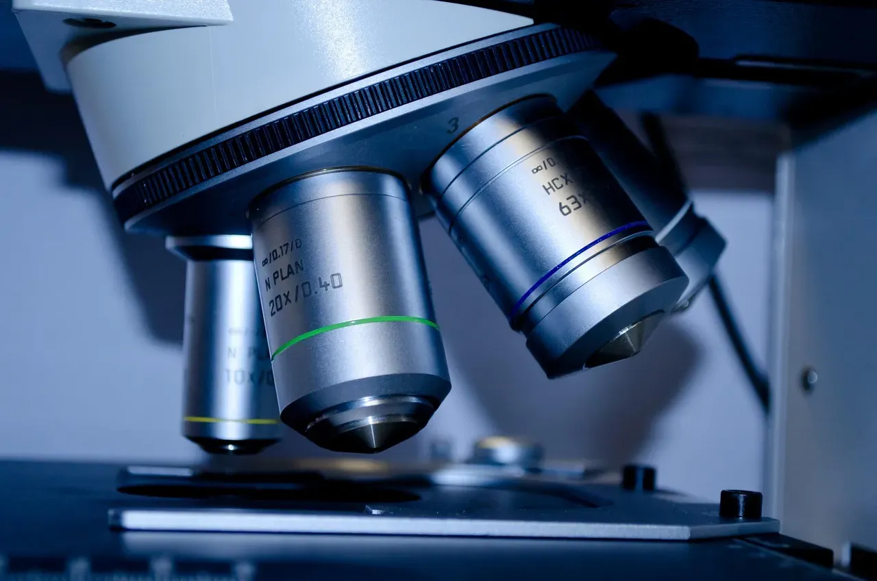 What These Discoveries Teach Us (Image Credits: Pixabay)
