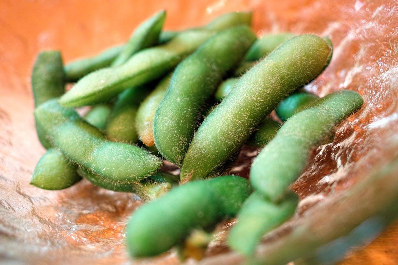 Edamame - The Green Protein Pod (Image Credits: Pixabay)