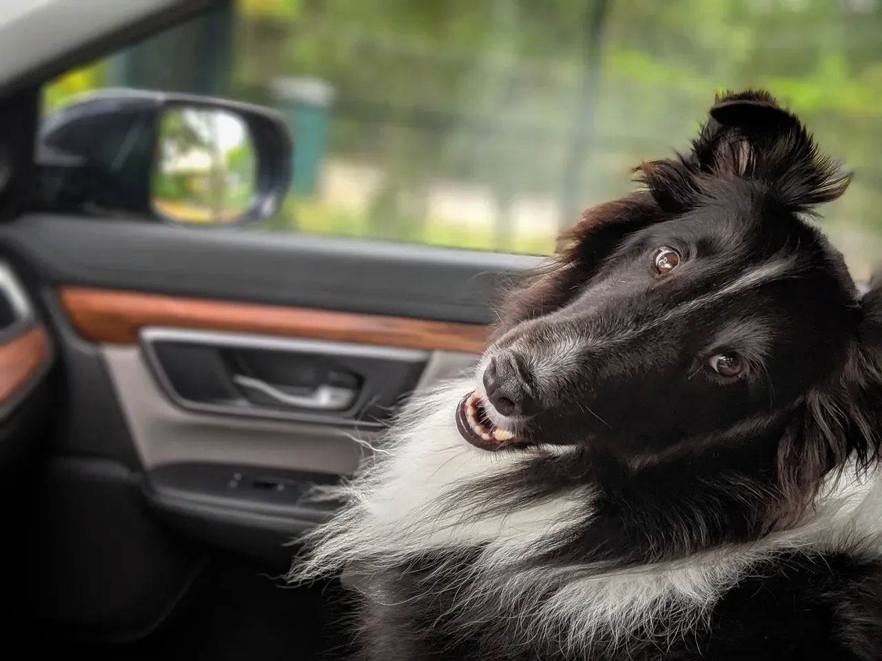 Plan frequent stops on road trips (Image Credits: Pixabay)