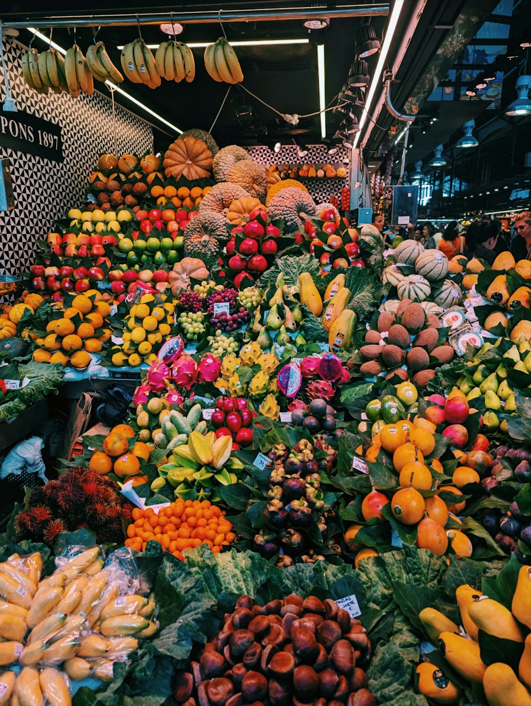 Poland Shows Unexpected Northern European Success (Image Credits: Unsplash)