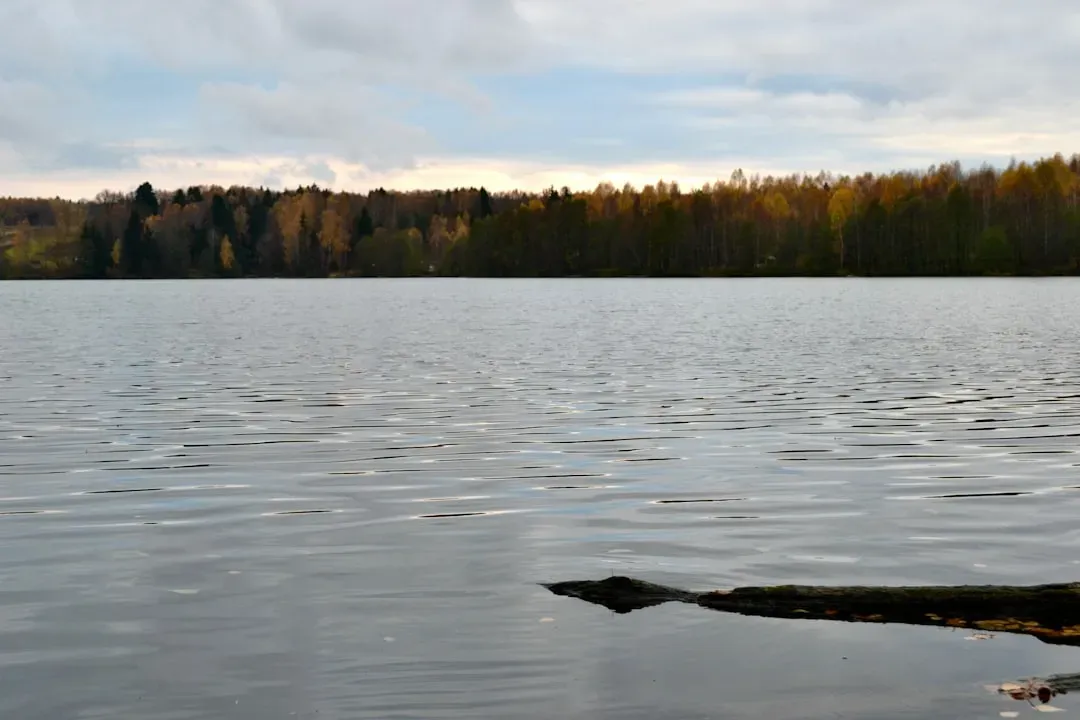 4. Minnesota - Albert Lea, the City of Lakes (Image Credits: Unsplash)