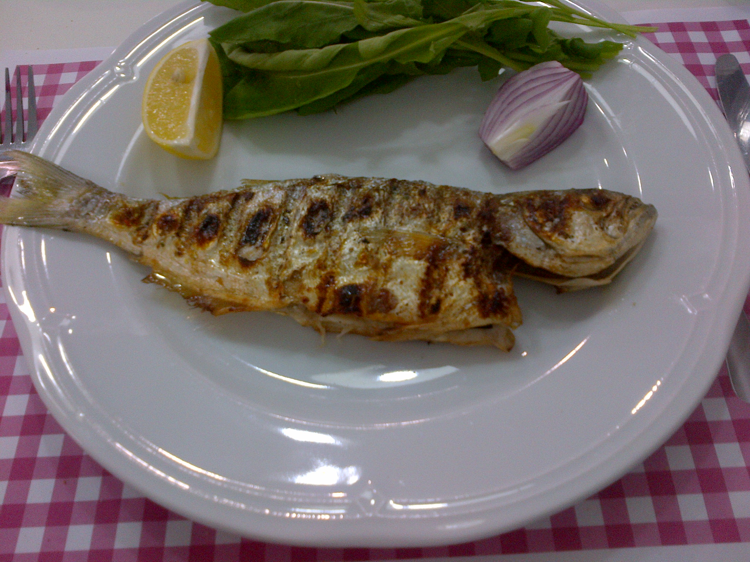 Bluefish: The Misunderstood Master of Flavor Balance (Image Credits: By E4024, CC BY-SA 4.0, https://commons.wikimedia.org/w/index.php?curid=45100638)